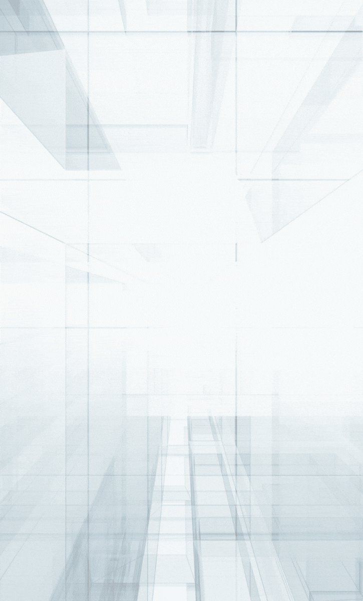 Ravi Impex INC Banner